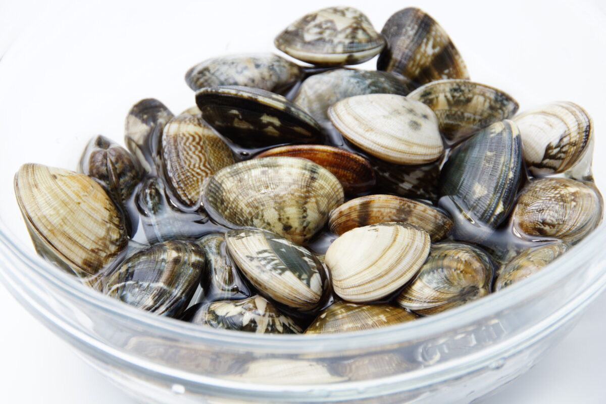 料理のプロが教える あさりの砂抜きと時間 Takashi Kushiyama